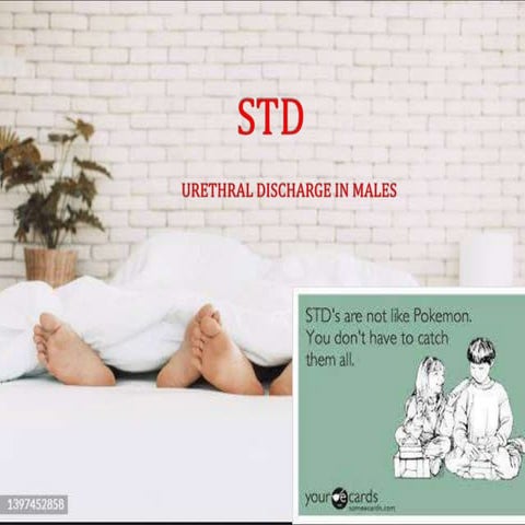 STD - Urethral Discharge In Males / Gonorrhea | PPTX