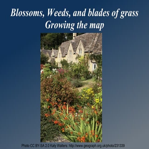 OpenStreetMap SOTM 2011 - Blossoms Weeds and Blade of Grass
