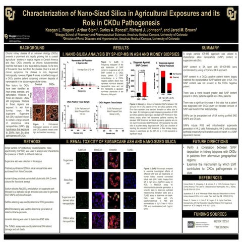 Characterization of Nano-Sized Silica in Agricultural Exposures and its  Role in CKDu Pathogenesis