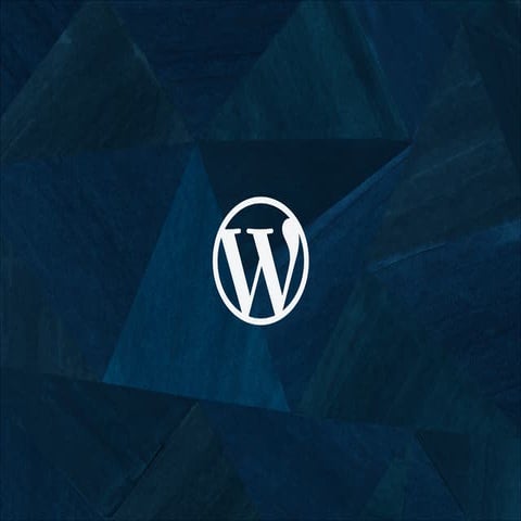 State of the Word 2013