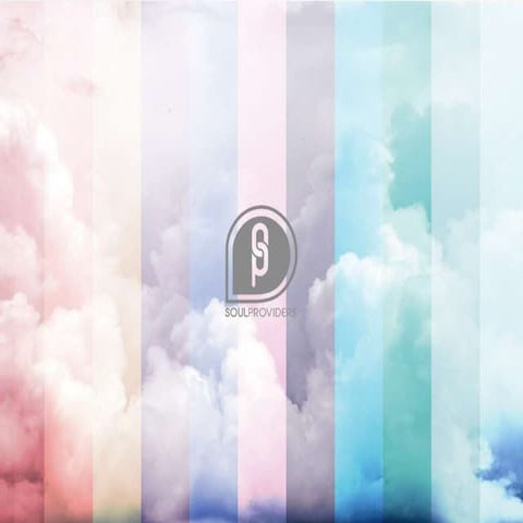 SoulProviders Overview 2016