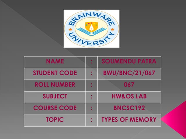 Soumenu Patra Presentation_Types of Memory.pdf