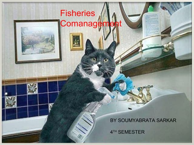 CO MANAGEMENT IN FISHERIES