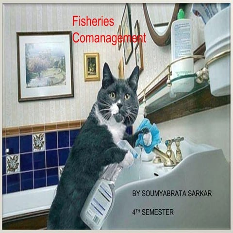CO MANAGEMENT IN FISHERIES