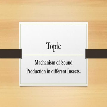 INSECTS SOUND PRODUCTION MACHANISM