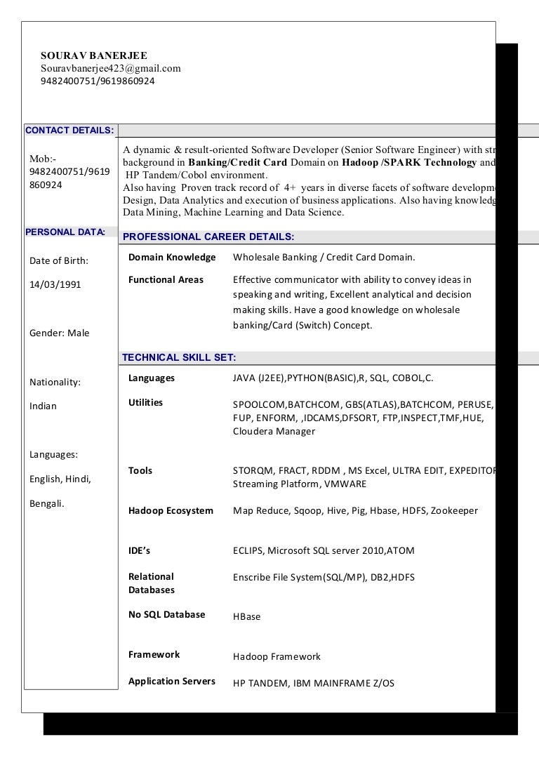 resume Domain Knowledge In Resume sourav banerjee resume
