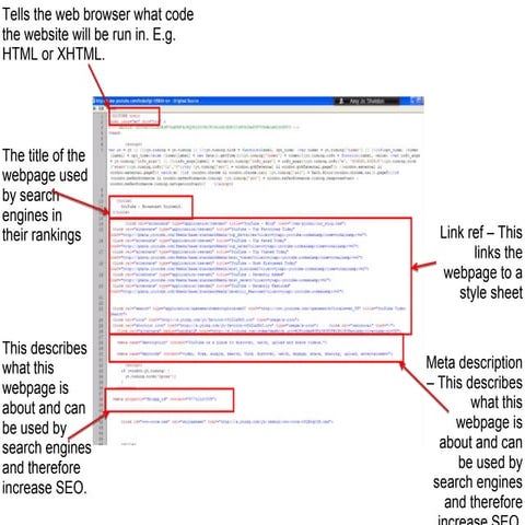 Amy Sheldon-Source code