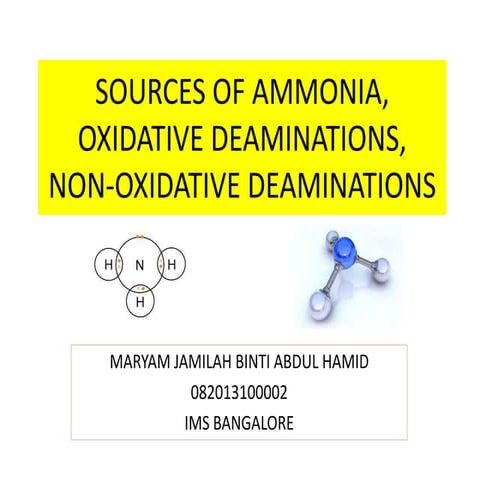 Source of NH3 for human body, Oxidative and Non-oxidative deaminations