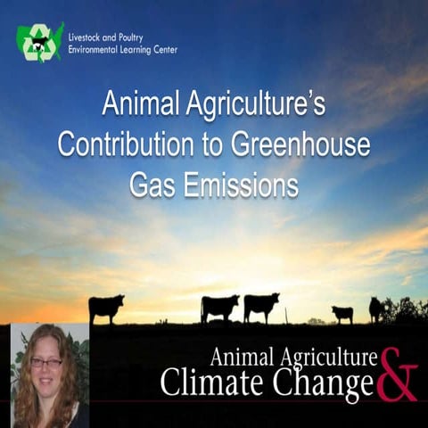 Animal Agriculture's Contribution to Greenhouse Gas Emissions