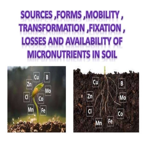 SOURCES ,FORMS ,MOBILITY , TRANSFORMATION ,FIXATION , LOSSES AND AVAILABILITY...