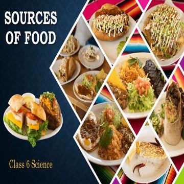 Sources of food Class 6