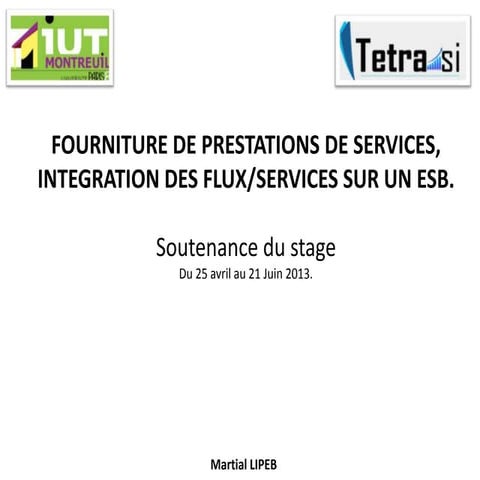 Soutenance de stage TETRA-SI Martial LIPEB