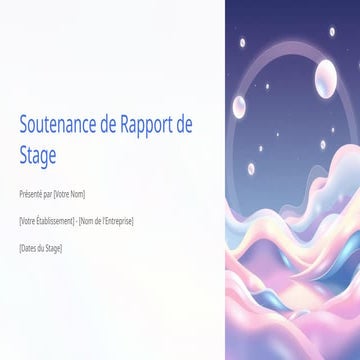 exemple de rapport de stage.pdf