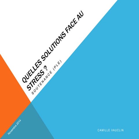 Quelles solutions face au stress ?