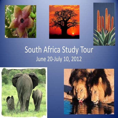 South africa study tour