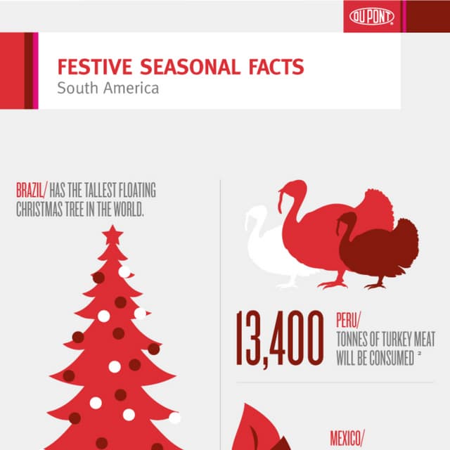 Festive Seasonal Facts - South America