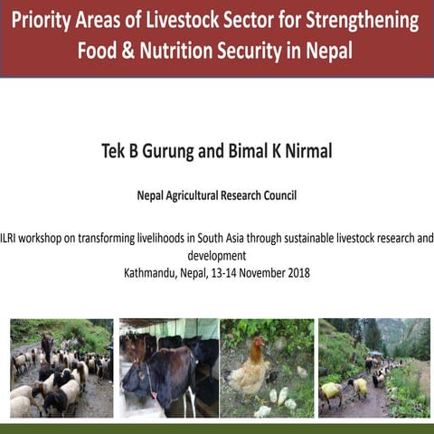 Priority areas of livestock sector for strengthening food and nutrition secur...