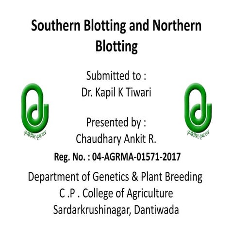 Souther and northern blotting systems