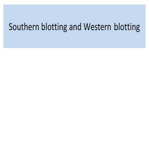 Southern-blotting-and-Western-blotting.pptx