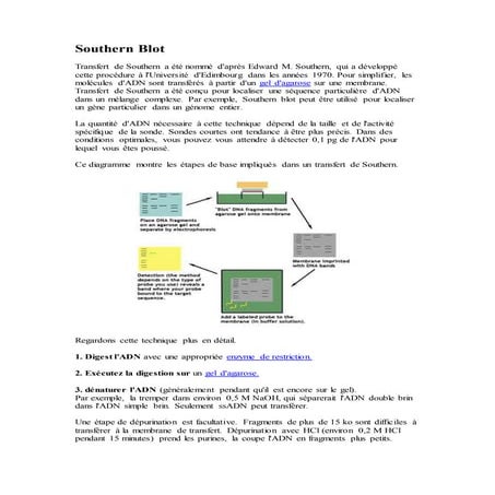 Southern blot