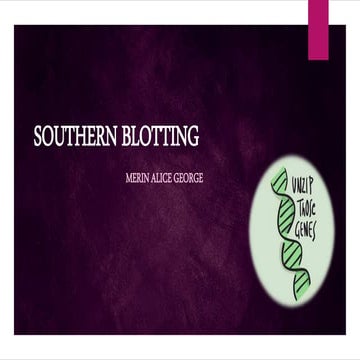 Southern blotting