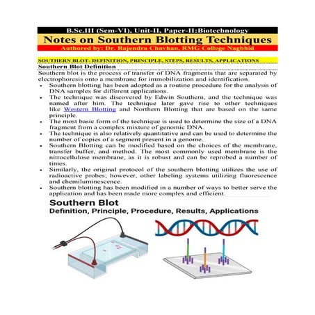 Southern Blotting.pdf