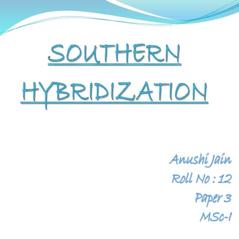 Southern hybridization