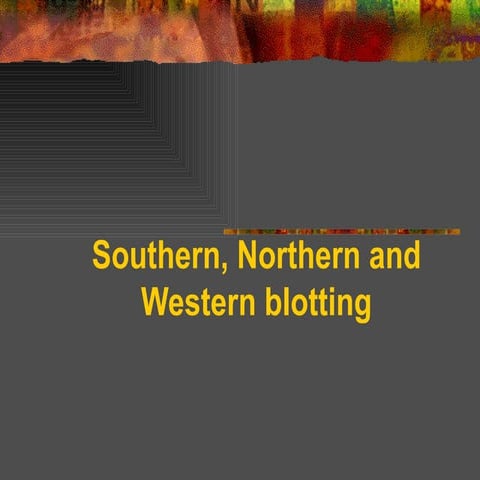 Southern northern and western blotting