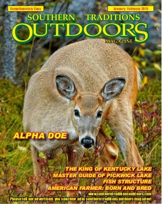 The Debate Over Dog Breed