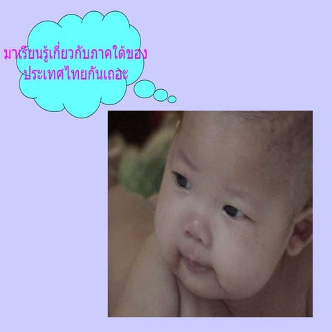 Souththailand.ppt111