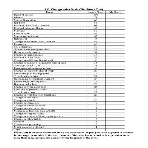 Life Change Stress Test | PDF
