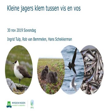 Noordse woelmuis Fryslan 2019-2021 Nico Beemster A&W.pptx