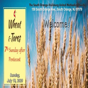 "When Jacob Found God For Himself"- 7th Sunday of Pentecost (7/19/20)