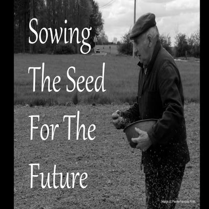 Sowing the seed for the future requires consistant giving | PDF