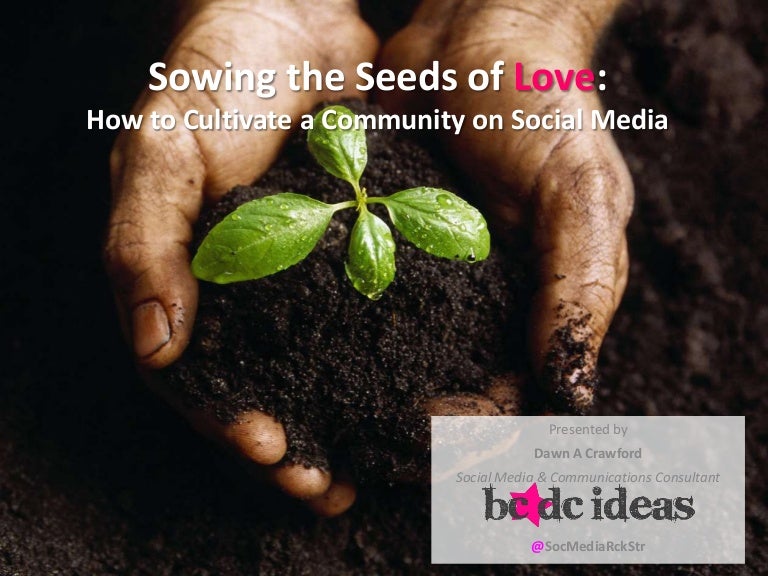 Sowing the seeds of love Sowing the seeds of love
