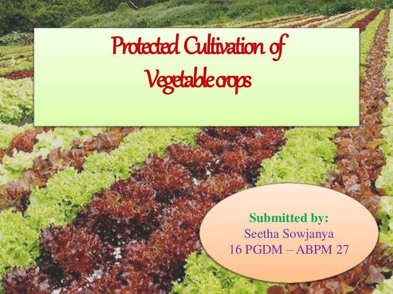 Protected Cultivation Of Vegetable Crops