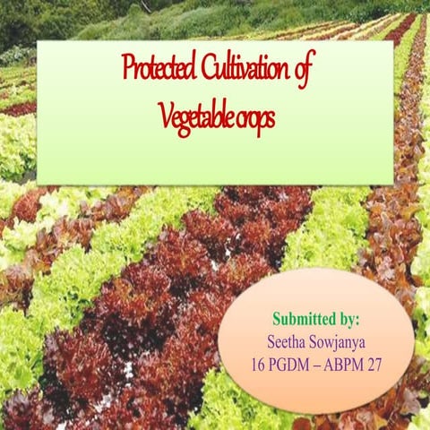 Protected Cultivation of Vegetable crops