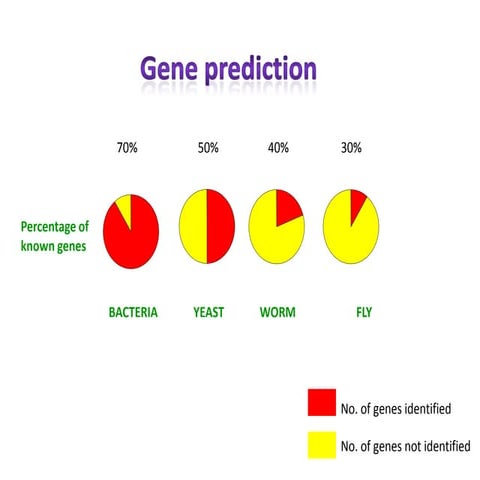 High throughput approaches to understanding gene function and mapping archite...