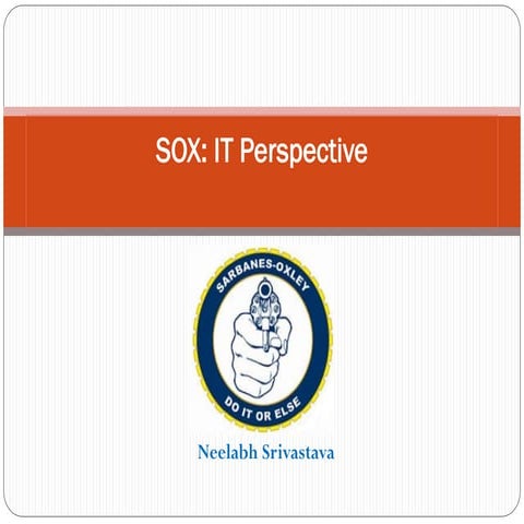 SOX- IT Perspective