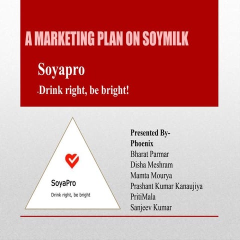 Soya Milk By Phoenix
