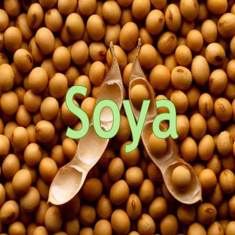 Soya