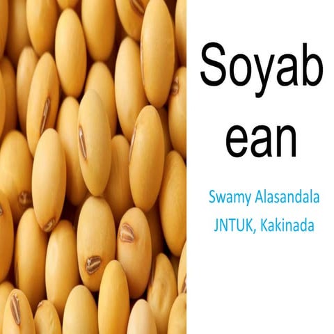 Soya bean Commodity