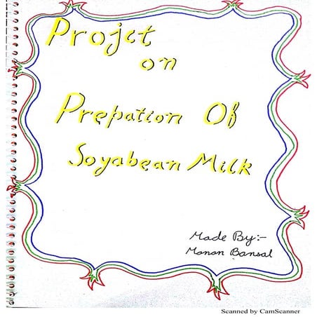 Preparation of Soyabean Milk -  2 | Chemistry Investigatory Project Class 12 ...