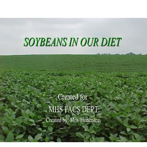 Soybeans 