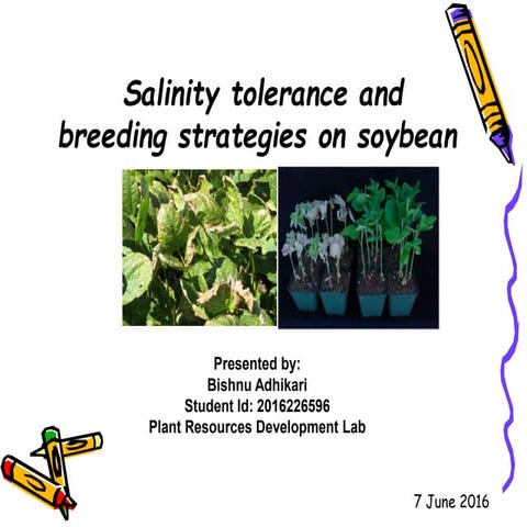 Salt tolerance crops | PPTX