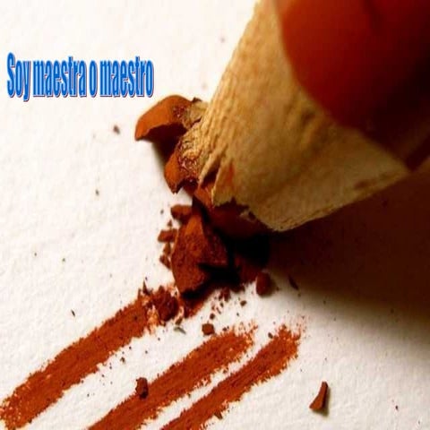 Soy Maestra O Pp Tminimizer