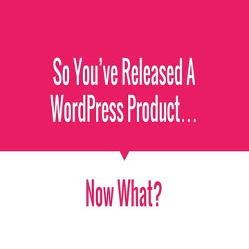 So You've Released A WordPress Product... Now What?