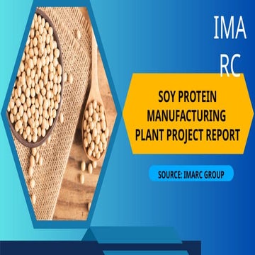 How To Setup a Soy Protein Manufacturing Plant: Report