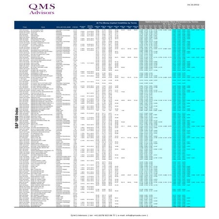 S&P 1000 Index - Dividends and Implied Volatility Surface Parameters