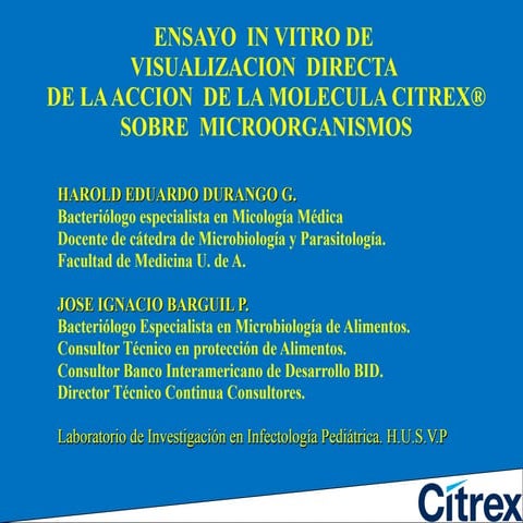 Spa 2 citrex visulizacion directa de la accion